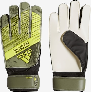 ADIDAS PERFORMANCE Athletic Gloves in Green: front