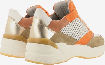 BULLBOXER Sneaker in Mischfarben