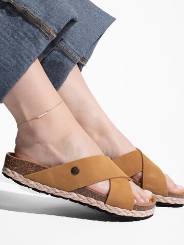 Mule 'Burgos' Bayton en marron