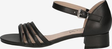 CAPRICE Sandalen met riem in Zwart