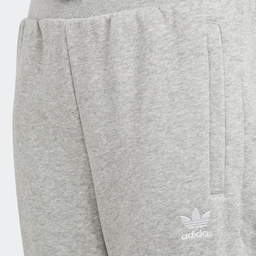 ADIDAS ORIGINALS Zwężany krój Spodnie 'Adicolor' w kolorze szary