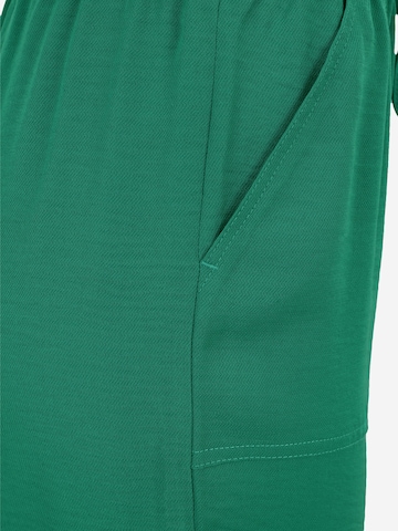 regular Pantaloni di Dorothy Perkins Petite in verde