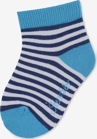 STERNTALER Socks in Blue