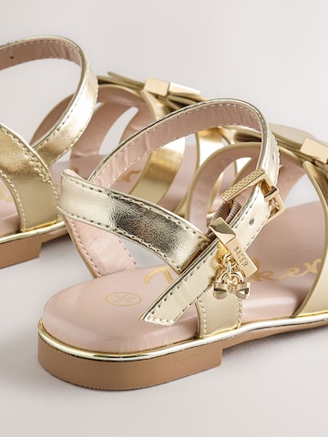 Baker by Ted Baker Босоножки в Золотой