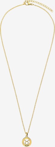 Lucardi Necklace in Gold: front