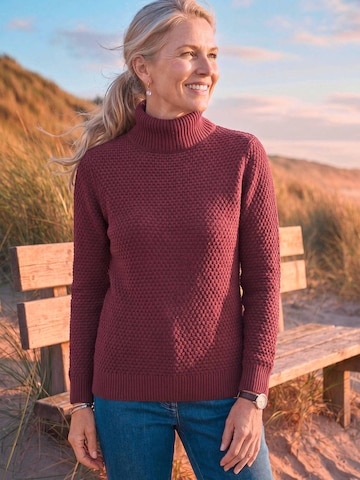 Goldner Sweater in Purple