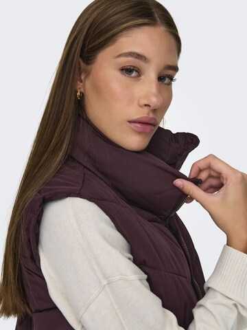 Gilet 'Finno' JDY en marron