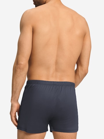 Hanro Boxershorts ' Cotton Sporty ' in Blauw