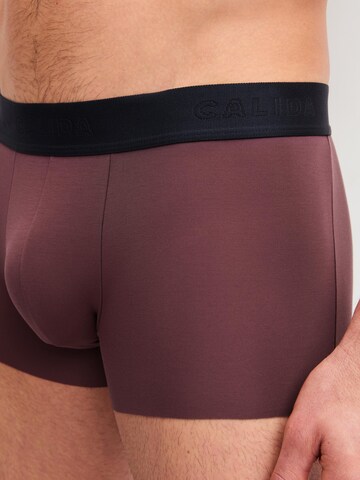 CALIDA Boxershorts 'Clean Line' in Beige