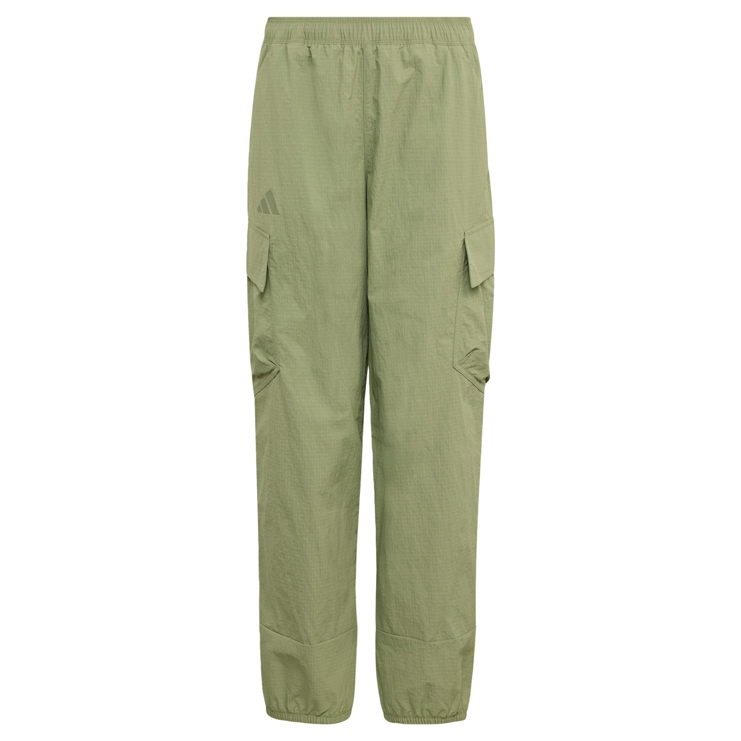 ADIDAS TERREX - Tapered Pantalón de montaña 'Xploric' en verde: frente