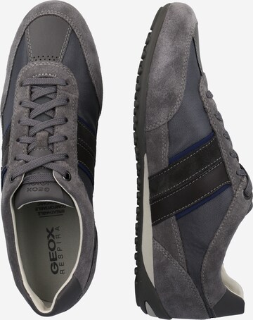 Sneaker bassa 'Wells' di GEOX in grigio