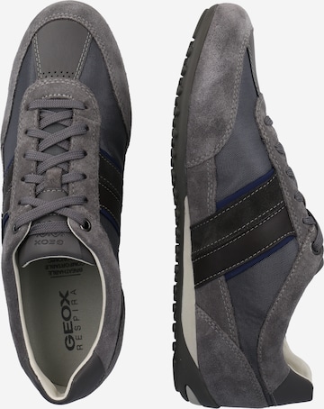 GEOX Sneakers 'Wells' in Grey