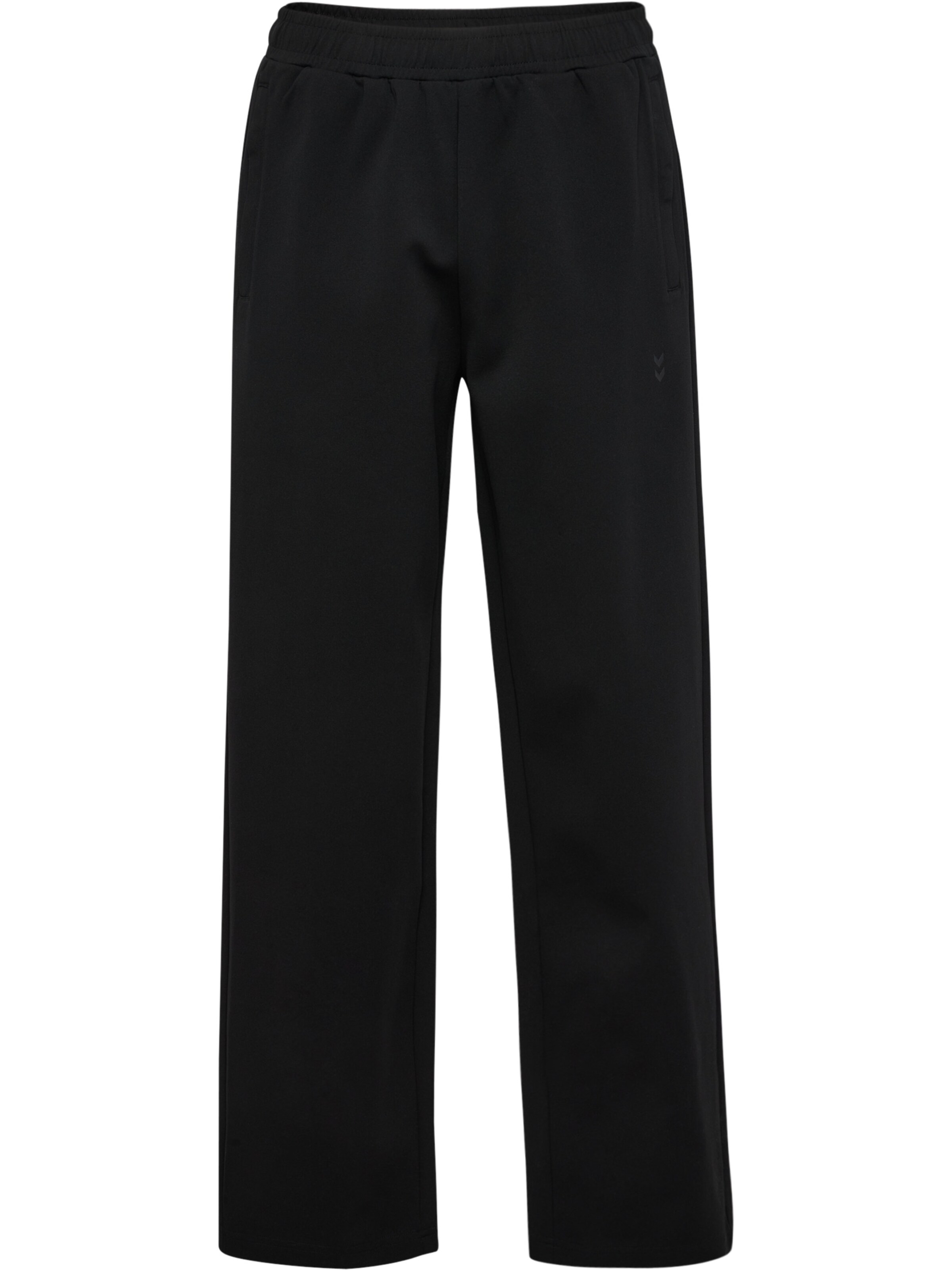 Regular Pantalon Hummel en noir : devant