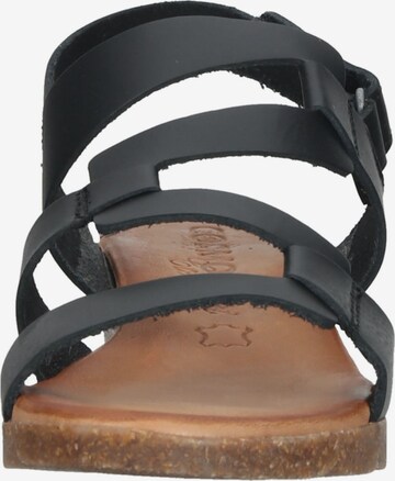 COSMOS COMFORT Strap Sandals in Black