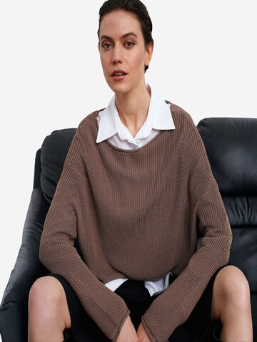 Dilvin - Pullover 'Pullover' em castanho