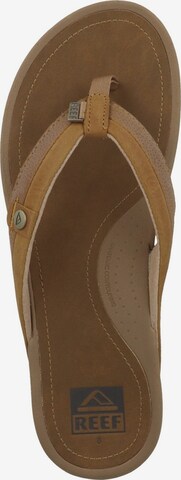 REEF Beach & Pool Shoes 'Pacific' in Brown