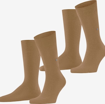 BURLINGTON Socks 'Everyday 2-Pack' in Brown: front