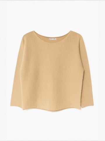 MixRayPulover 'Pullover' - smeđa boja: prednji dio