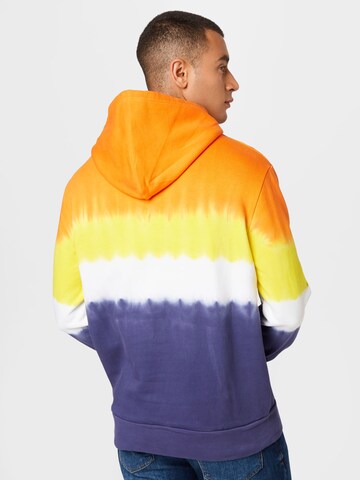 Polo Ralph Lauren Sweatshirt i blandingsfarger