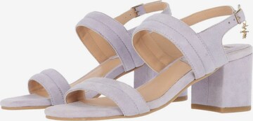 MEXX Sandals in Purple