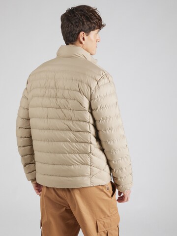 Giacca invernale 'TERRA' di Polo Ralph Lauren in verde