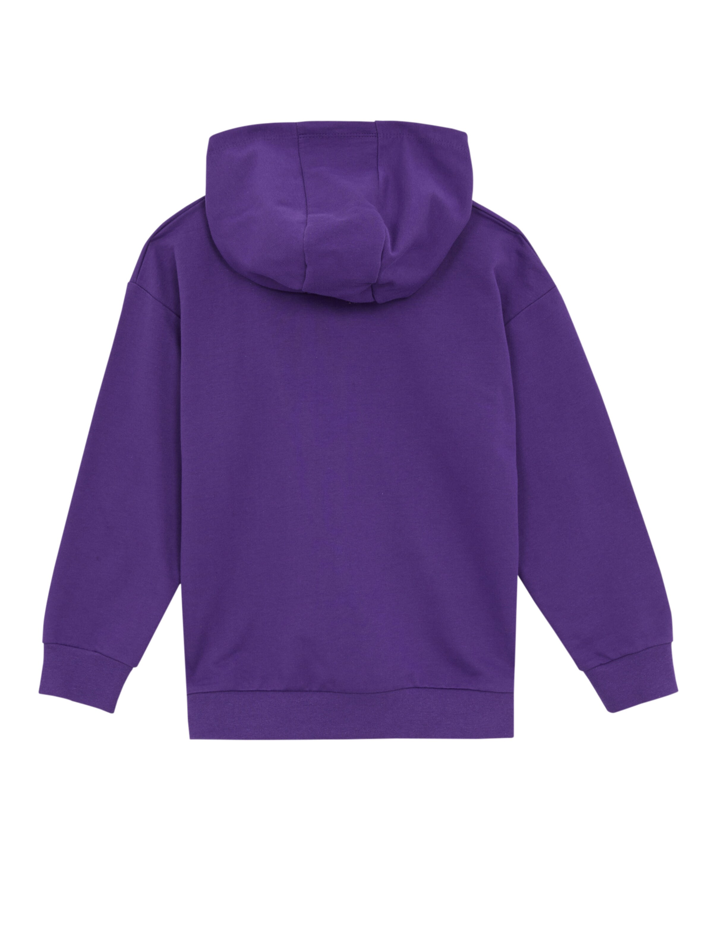 Kinder Kids (Gr. 92-140) DeFacto Sweatshirt in Lila - TB83661 Kinder Kids (Gr. 92-140) DeFacto Sweatshirt in Lila - TB83661