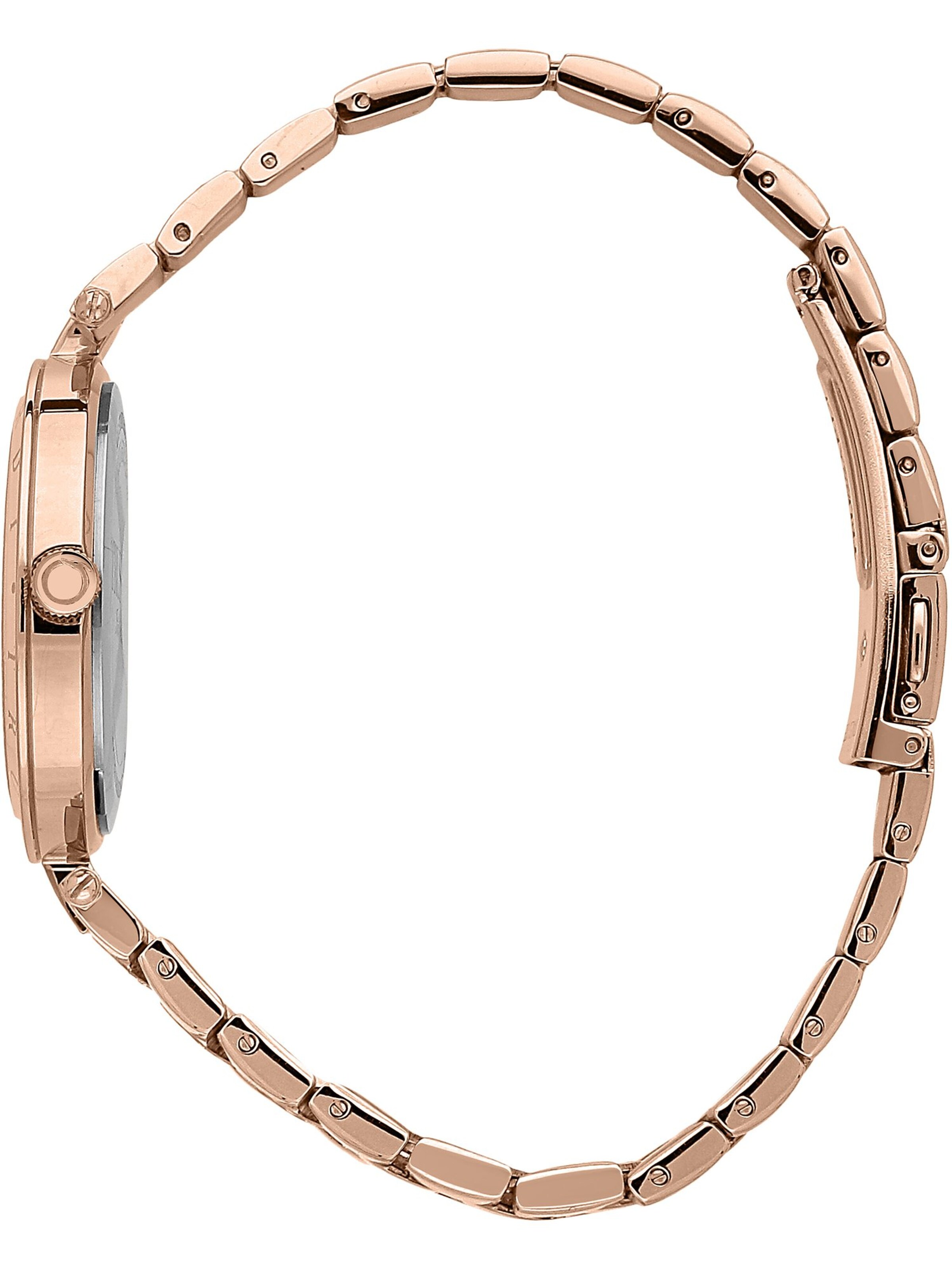 Trussardi Analog Watch in Gold