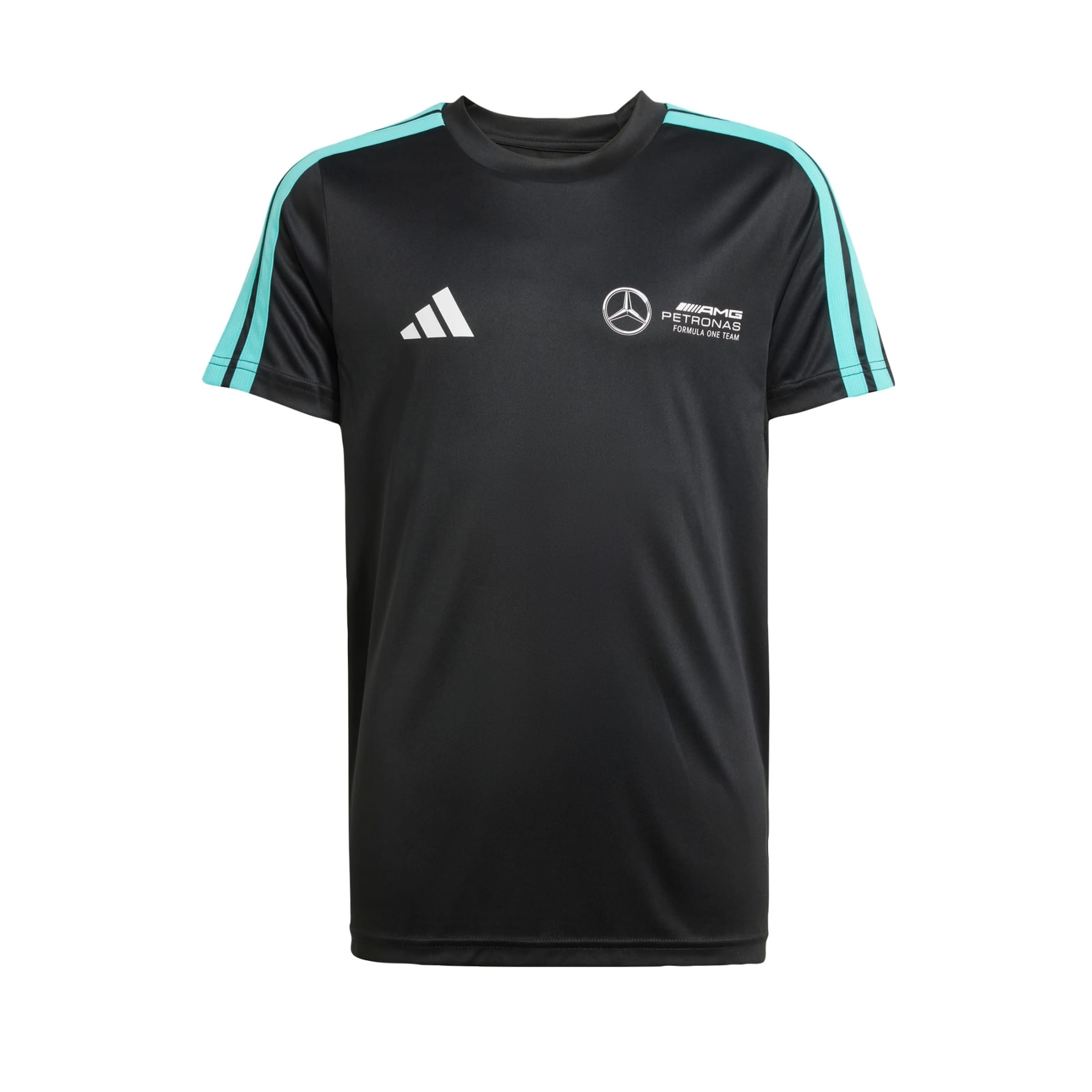 ADIDAS PERFORMANCE Functioneel shirt 'Mercedes - Amg Petronas Formula One Team' in Zwart: voorkant