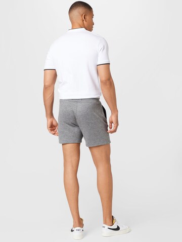 HOLLISTER Regular Shorts in Grau