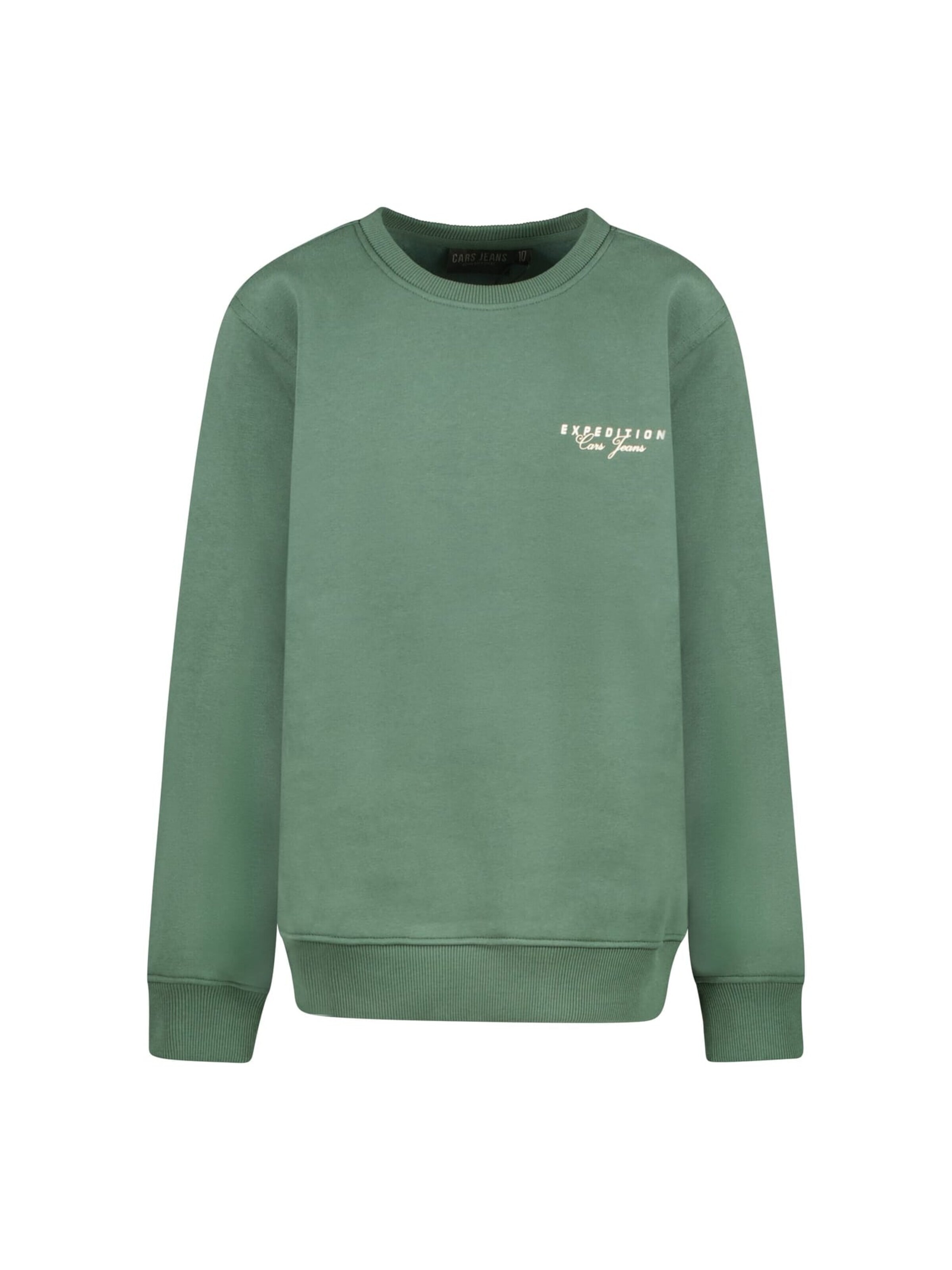 CARS Sweatshirt in Green: front