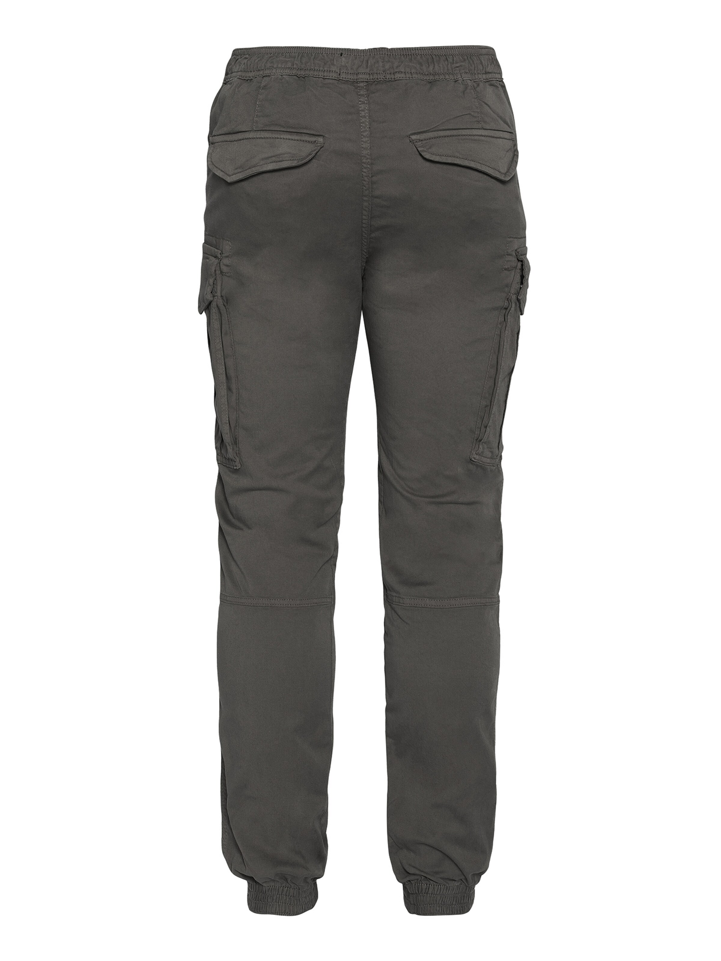 Schott NYC Regular Cargo Pants in Grey