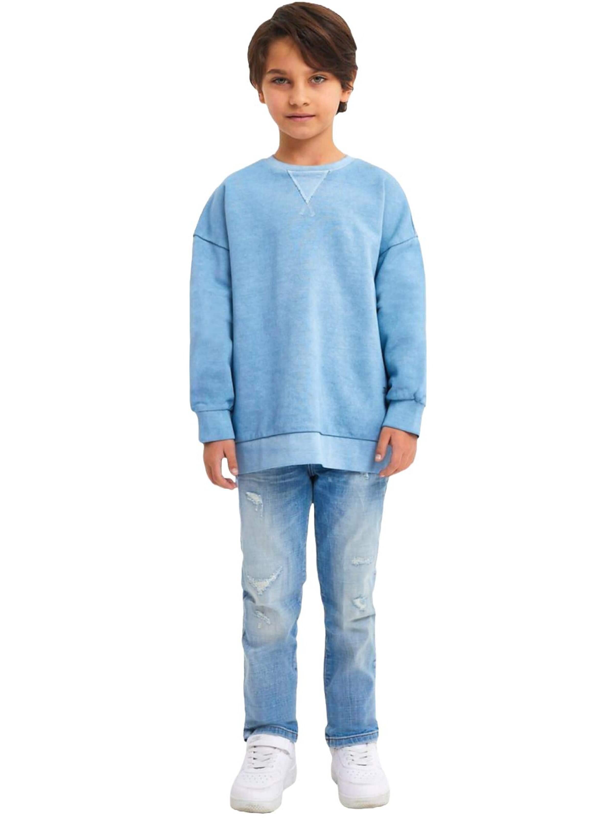 LTB Jeans - Sudadera 'Back Print Sweatshirt' en azul