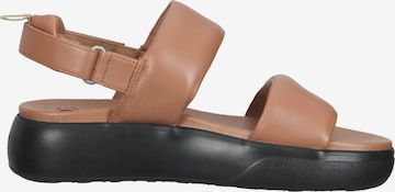 Högl Sandals in Brown