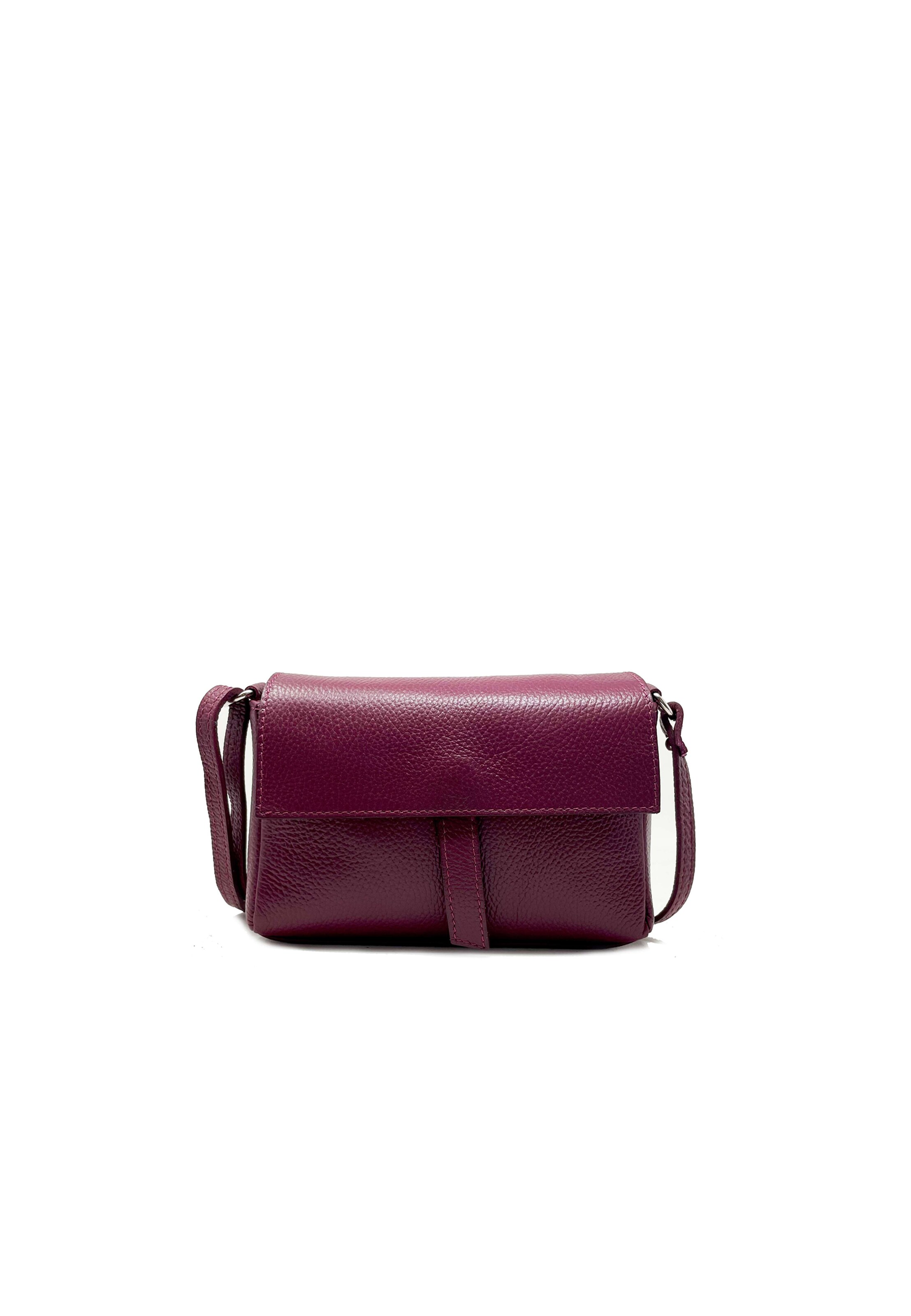 CHICCA BORSE Crossbody Bag in Red: front