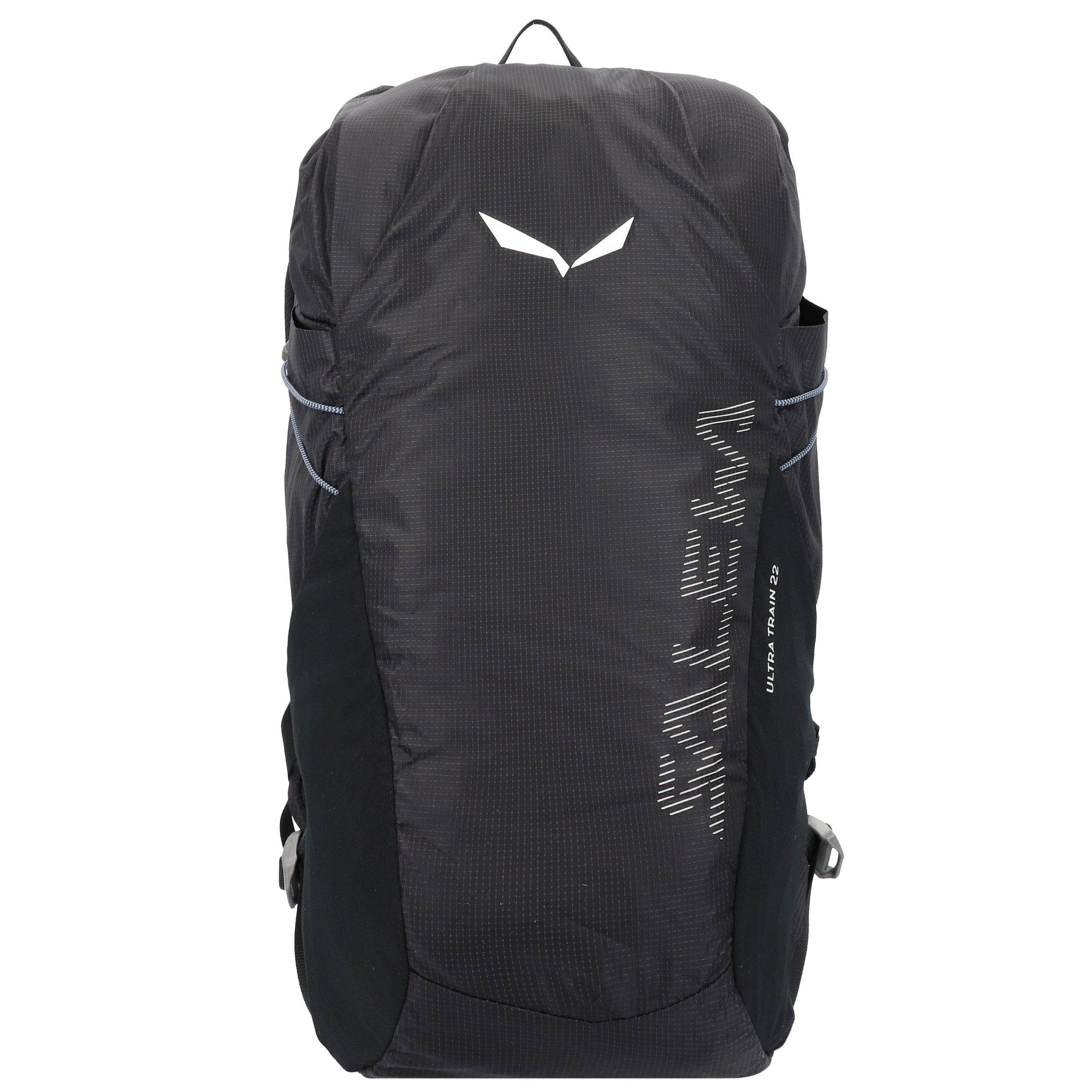 SALEWA Sports backpack 'Ultra Train 22' in Black: front