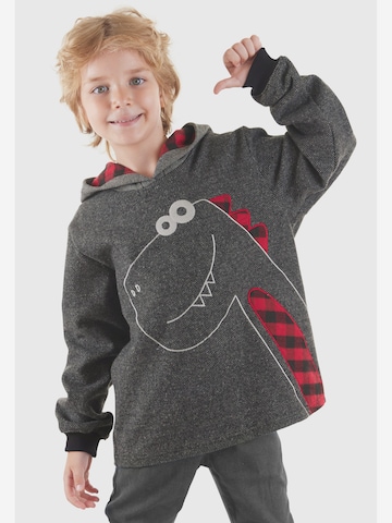 Denokids Trui ' CFF-24S1-061 ' in Grijs: voorkant