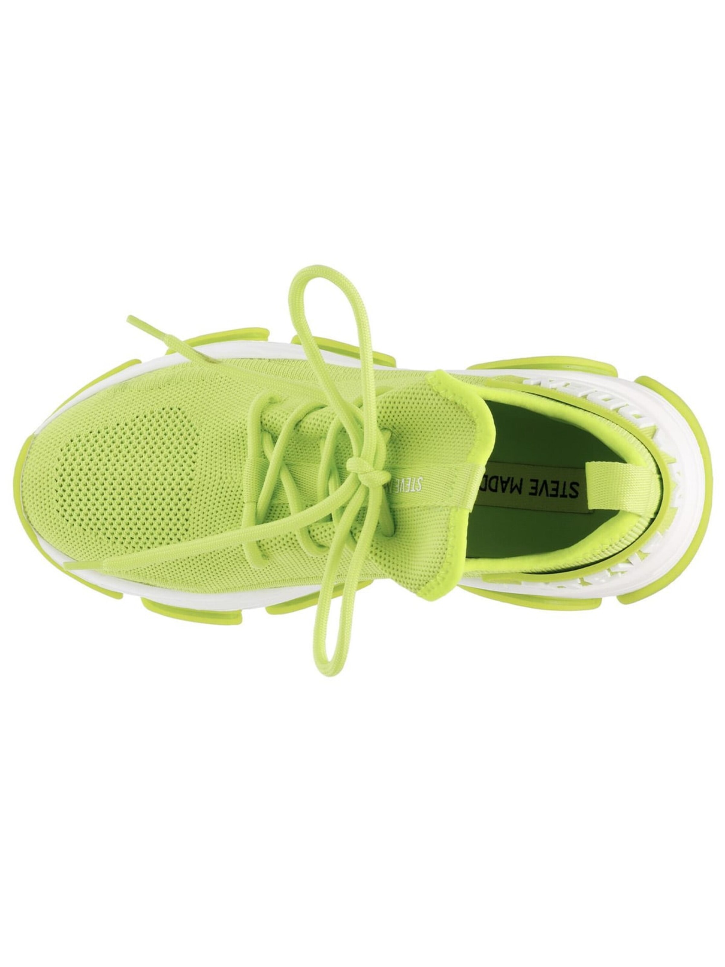 Scarpa stringata sportiva 'Protégé' di STEVE MADDEN in verde