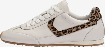 Baskets basses 'VELOCITY' LLOYD en beige : devant