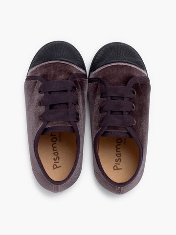 Pisamonas Sneakers in Grey