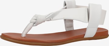 ILC T-Bar Sandals in White: front