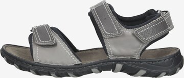 Sandales de randonnée JOSEF SEIBEL en gris