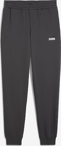 PUMA Sports trousers 'Essentials 2 No.1' in Grey: front