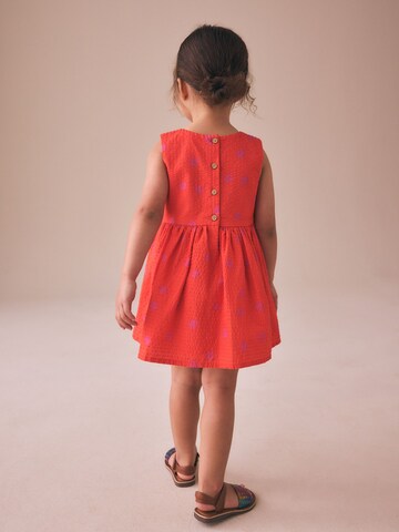 Next Kleid in Orange