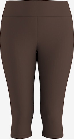 HYPEDROP Regular Hose in Braun: Vorderseite