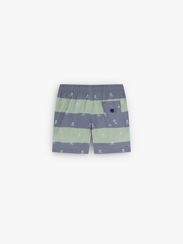 Scalpers Skull Stripes Swimsuit ' ' in Grau