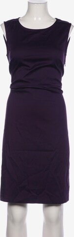 OPUS Dress in L in Purple: front
