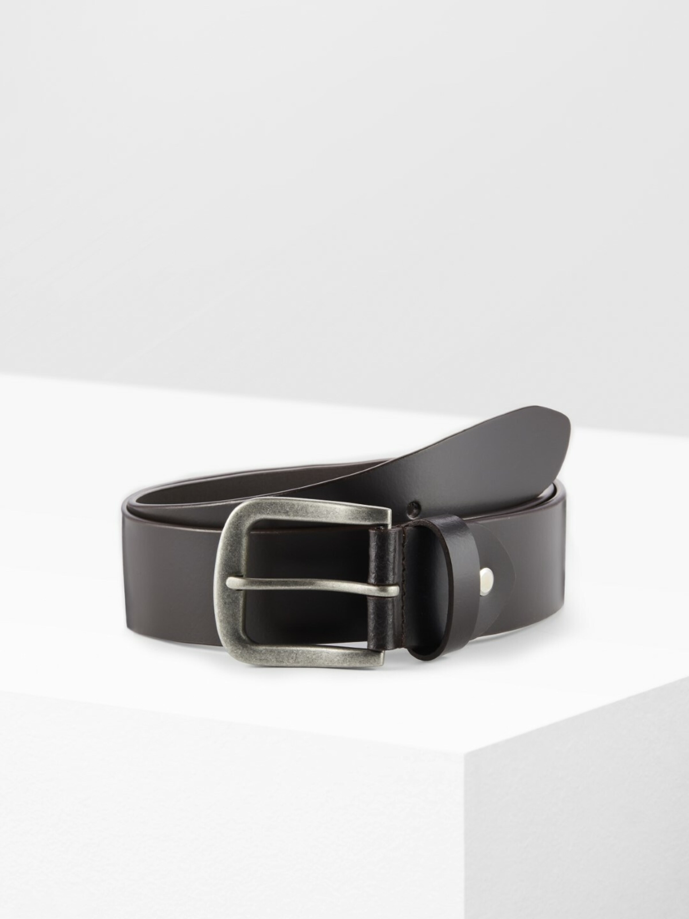 PADDOCKS Belt in Brown: front