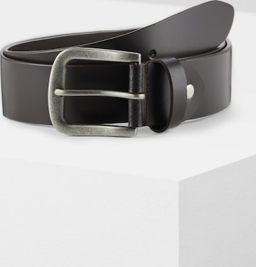 PADDOCKS Belt in Brown: front