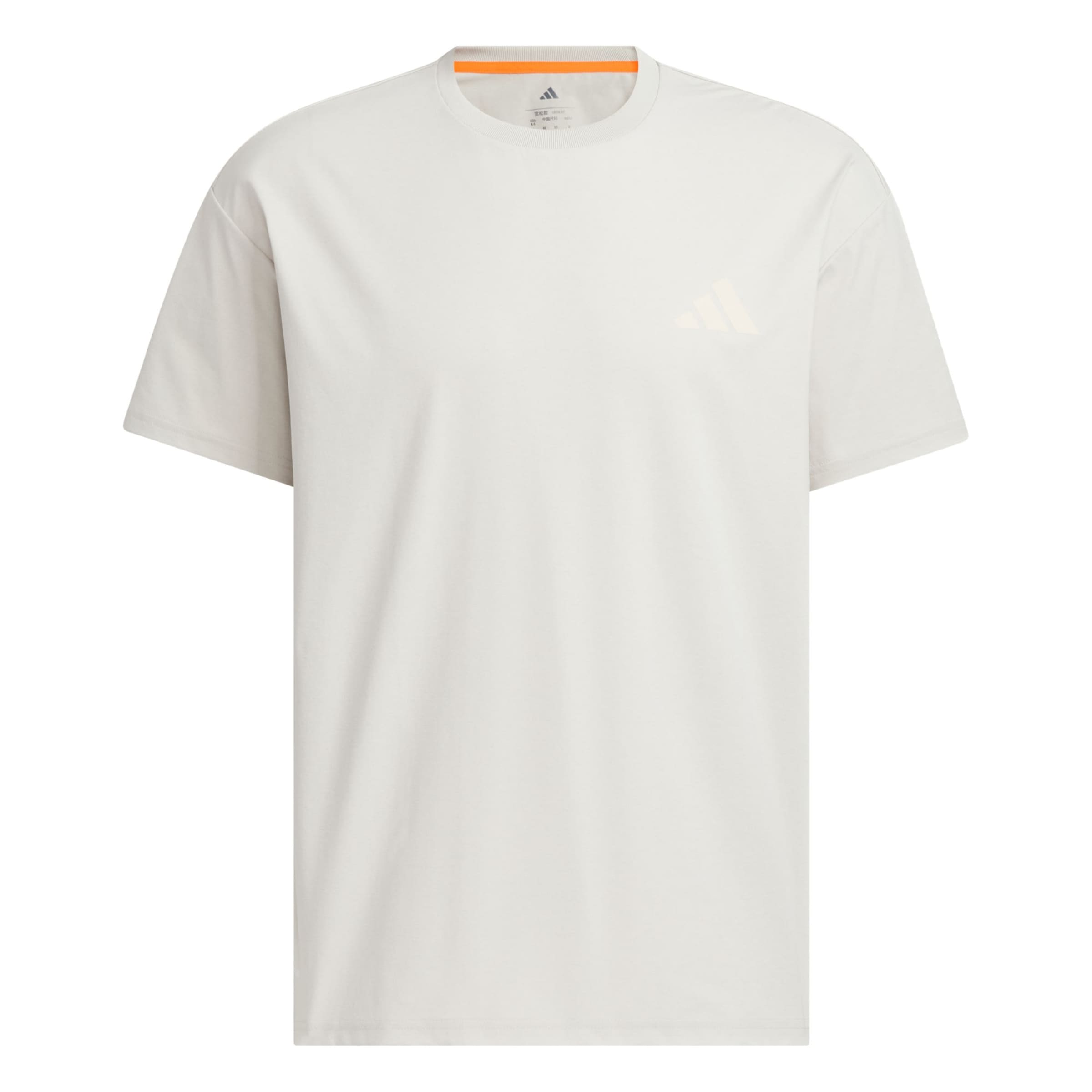 T-Shirt fonctionnel 'Xploric' ADIDAS TERREX en beige : devant