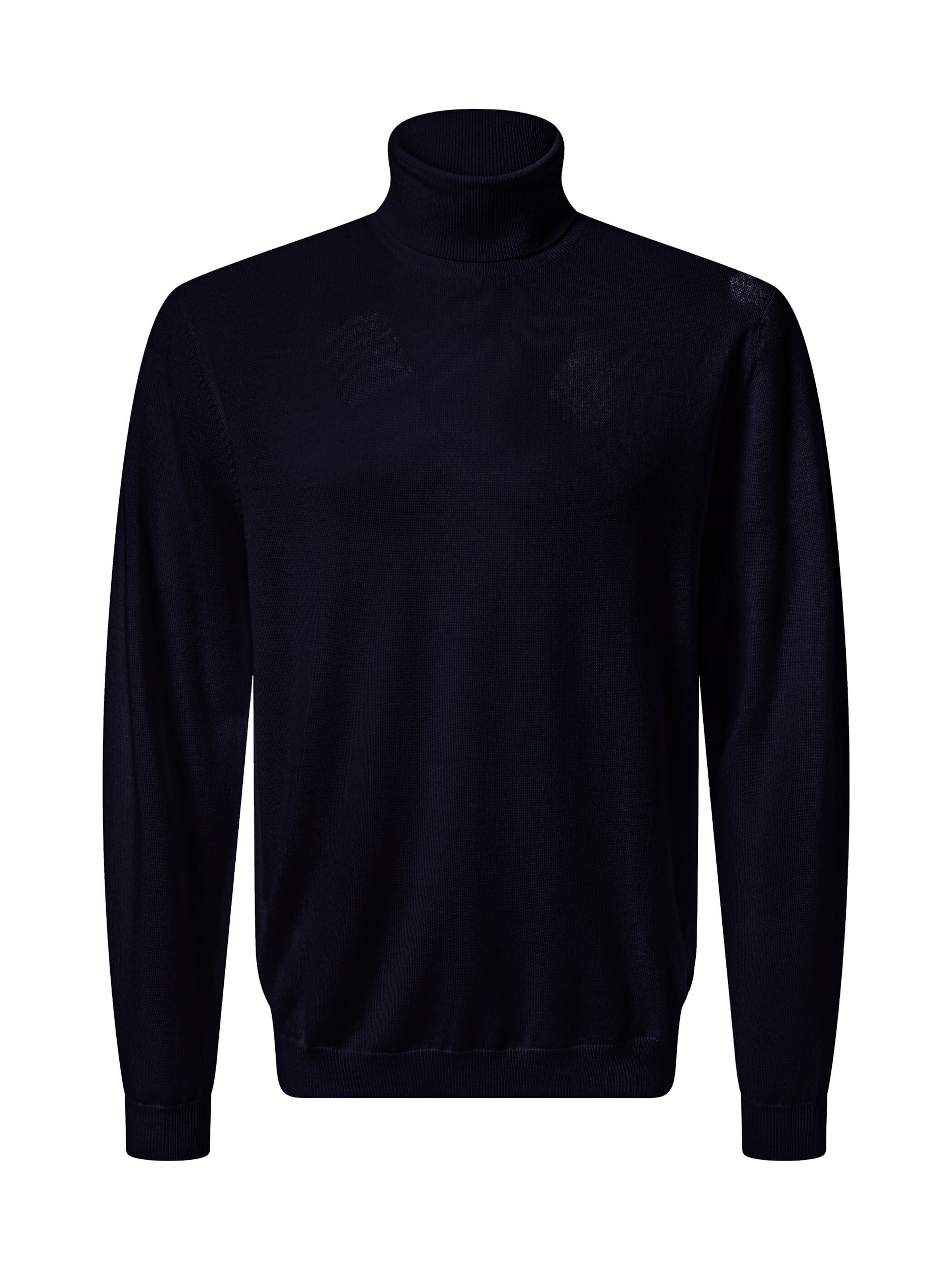 PIERRE CARDIN Pullover in Blau: Vorderseite